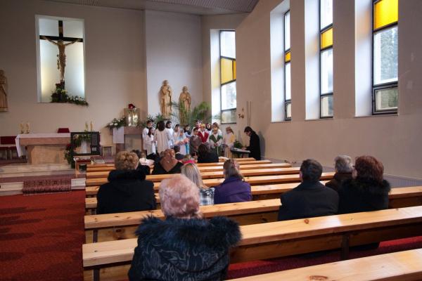 IMG_6866 IMG_6866