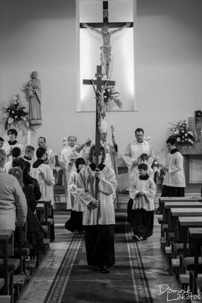 IMG_7723 IMG_7723