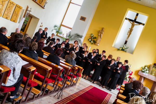 IMG_7855 IMG_7855